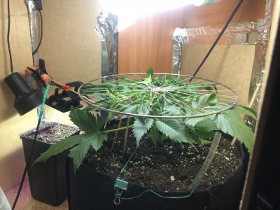 IMG_4850.jpeg IMG_4850.jpeg