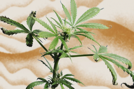 1698064103860.png 1698064103860.png