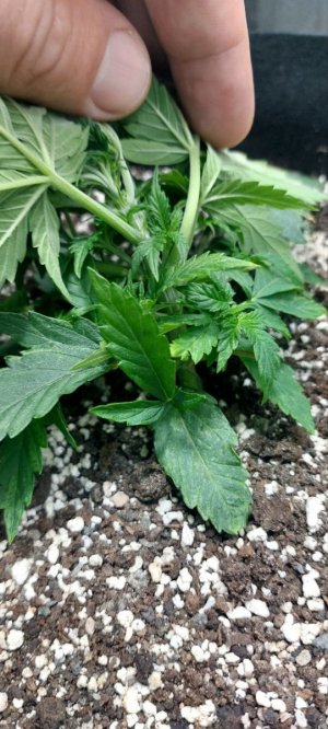 2023.10.24 - 20 день(2).jpg 2023.10.24 - 20 день(2).jpg