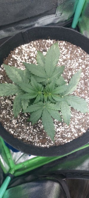 photo_2023-10-24_19-04-02.jpg photo_2023-10-24_19-04-02.jpg