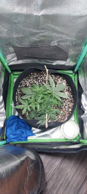 2023.10.18 - 24 день вечер.jpg