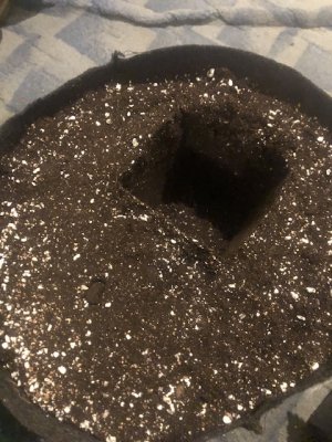 IMG_4938.jpeg IMG_4938.jpeg