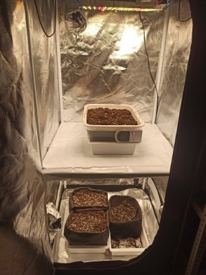 IMG_20231020_191608.jpg IMG_20231020_191608.jpg