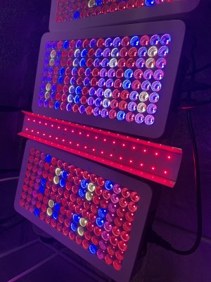 292A7FF0-C7D3-4FD1-B4D1-B3C174CFD287.jpeg 292A7FF0-C7D3-4FD1-B4D1-B3C174CFD287.jpeg