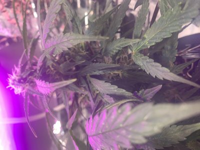 imgonline-com-ua-dexifo3Uw9bIQJNt8.jpg imgonline-com-ua-dexifo3Uw9bIQJNt8.jpg