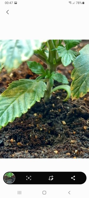 Screenshot_20220110-004708_Gallery.jpg Screenshot_20220110-004708_Gallery.jpg