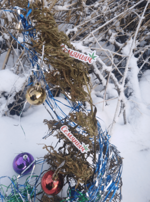 1641913299272.png 1641913299272.png