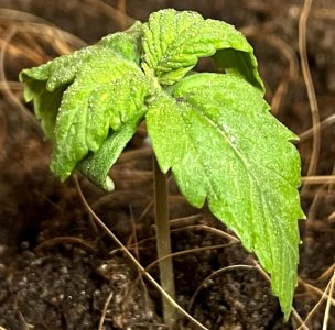 20220112_165406.jpg 20220112_165406.jpg