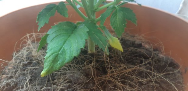 IMG_20220112_210824_433.jpg IMG_20220112_210824_433.jpg