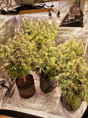 photo_2022-01-12_16-51-16.jpg photo_2022-01-12_16-51-16.jpg