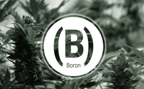 1642102750329.png 1642102750329.png