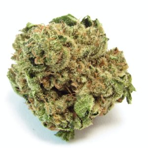 lemonade.jpg lemonade.jpg