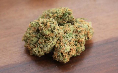 red congo.jpg red congo.jpg