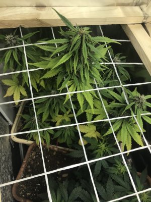 photo_2022-01-04_20-32-35.jpg photo_2022-01-04_20-32-35.jpg