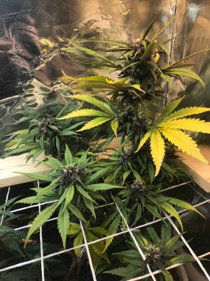 photo_2022-01-04_20-30-00.jpg photo_2022-01-04_20-30-00.jpg