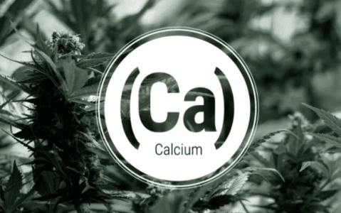 1642241638711.png 1642241638711.png