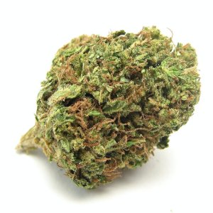 headband.jpeg headband.jpeg