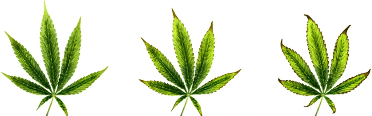 1642532944703.png 1642532944703.png