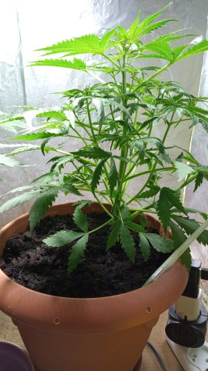 IMG_20220119_084457.jpg IMG_20220119_084457.jpg