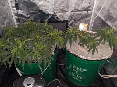 PXL_20220119_123111649.jpg PXL_20220119_123111649.jpg