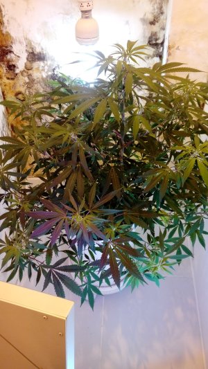 20220119_175840-min.jpg 20220119_175840-min.jpg