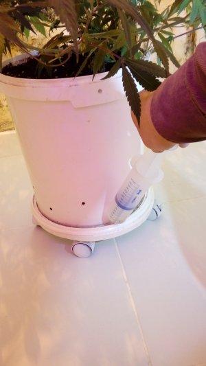 20220119_180650-min.jpg 20220119_180650-min.jpg