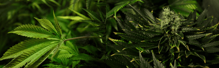 1643218117483.png 1643218117483.png