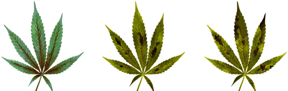 1643471548854.png 1643471548854.png