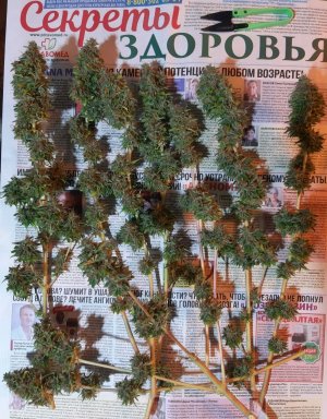 20220130_170505.jpg 20220130_170505.jpg