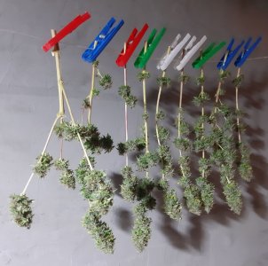 20220130_170833.jpg 20220130_170833.jpg