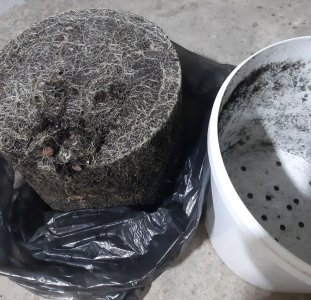 20220130_170645.jpg 20220130_170645.jpg