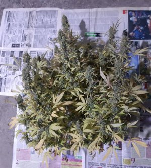 20220130_170752.jpg 20220130_170752.jpg