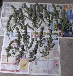 20220130_171134.jpg 20220130_171134.jpg