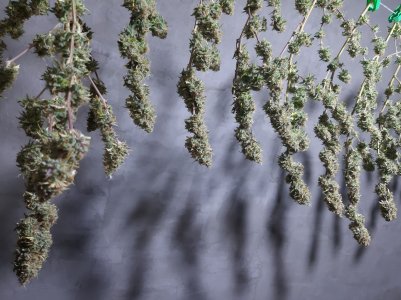 20220130_171402.jpg 20220130_171402.jpg