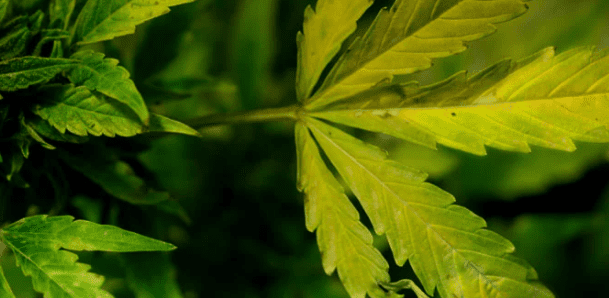 1643559405479.png 1643559405479.png