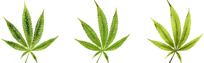 1643559425347.png 1643559425347.png