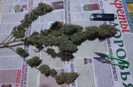 20220130_171026.jpg 20220130_171026.jpg