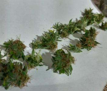 20220130_171551.jpg 20220130_171551.jpg