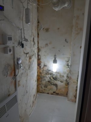 20220130_231310.jpg 20220130_231310.jpg