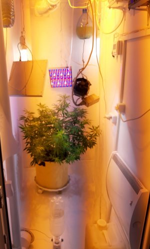 20220130_231215.jpg 20220130_231215.jpg