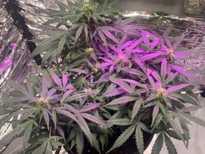 imgonline-com-ua-dexifrZ5OjUkXajj1.jpg imgonline-com-ua-dexifrZ5OjUkXajj1.jpg