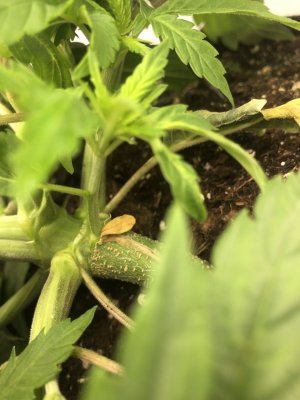 IMG_5007.jpeg IMG_5007.jpeg