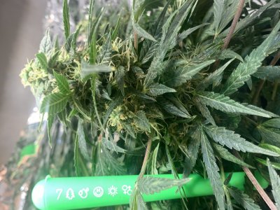 imgonline-com-ua-dexifF4sJ2OT2IPfT.jpg imgonline-com-ua-dexifF4sJ2OT2IPfT.jpg