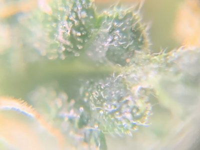 imgonline-com-ua-dexifKaijhaU4fXqR.jpg imgonline-com-ua-dexifKaijhaU4fXqR.jpg