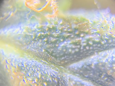 imgonline-com-ua-dexifzuB55y3UkDXJ.jpg imgonline-com-ua-dexifzuB55y3UkDXJ.jpg