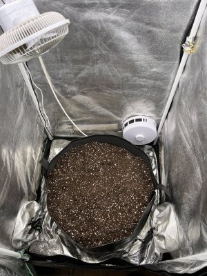 IMG_3504.jpeg IMG_3504.jpeg