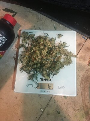 8C3450C6-0F5A-41C7-B4E0-539DD866F265.jpeg 8C3450C6-0F5A-41C7-B4E0-539DD866F265.jpeg