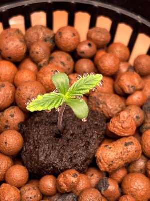 photo_9_2023-11-20_17-18-56.jpg photo_9_2023-11-20_17-18-56.jpg