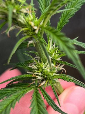 photo_5_2023-11-20_19-23-08.jpg photo_5_2023-11-20_19-23-08.jpg