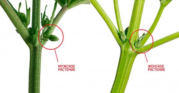 206eada5e0b2386f872a4.jpg 206eada5e0b2386f872a4.jpg